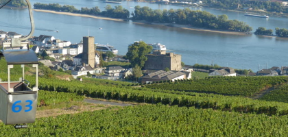 Bild von Restaurant Am Niederwald