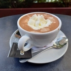Foto zu Grand Café am Stadtgarten: 