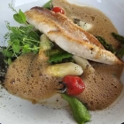 Foto zu Restaurant & Bar WEITBLICK: 29.05.25: Rotbarschfilet, Erbse, Spargel, Morchel, Algen