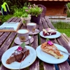 Bild von Blumencafé Rügen - Sök di wat ut!