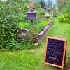 Neu bei GastroGuide: Blumencafé Rügen - Sök di wat ut!