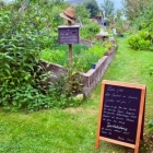 Foto zu Blumencafé Rügen - Sök di wat ut!: 