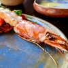 Neu bei GastroGuide: Jan Tabac
