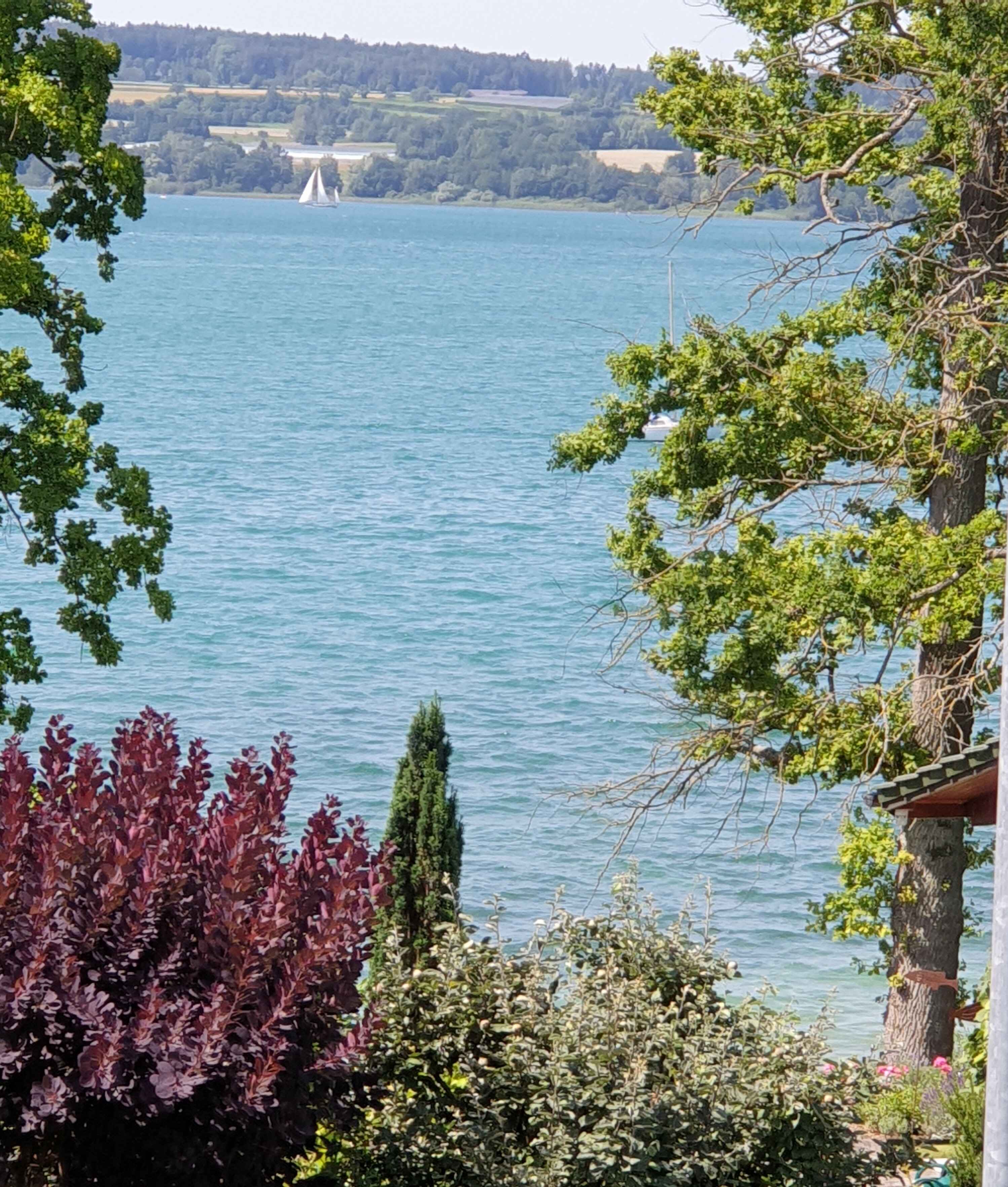 Bild zur Nachricht von Robert's Winery