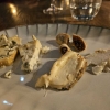 Neu bei GastroGuide: Fine Dining by Phillip Probst
