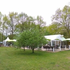 Foto zu Spargelhof Schäfer: 