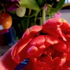 Foto zu QMUH | Burgergrill & Steakhouse · Stuttgarter Tor: 