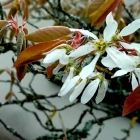 Foto zu QMUH | Burgergrill & Steakhouse · Stuttgarter Tor: 