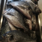 Foto zu Restaurant il villaggio: 