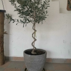 Foto zu Restaurant il villaggio: 