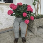 Foto zu Restaurant il villaggio: 