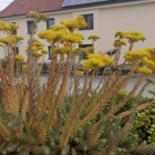 Foto zu Restaurant il villaggio: 