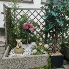 Foto zu Restaurant il villaggio: 