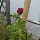 Foto zu Restaurant il villaggio: 