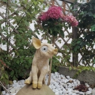 Foto zu Restaurant il villaggio: 