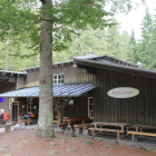 Foto zu Waldwirtschaft: 