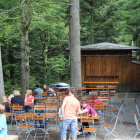 Foto zu Waldwirtschaft: 