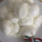 Foto zu il Mulino Ristorante: 