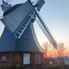 Foto zu il Mulino Ristorante: 