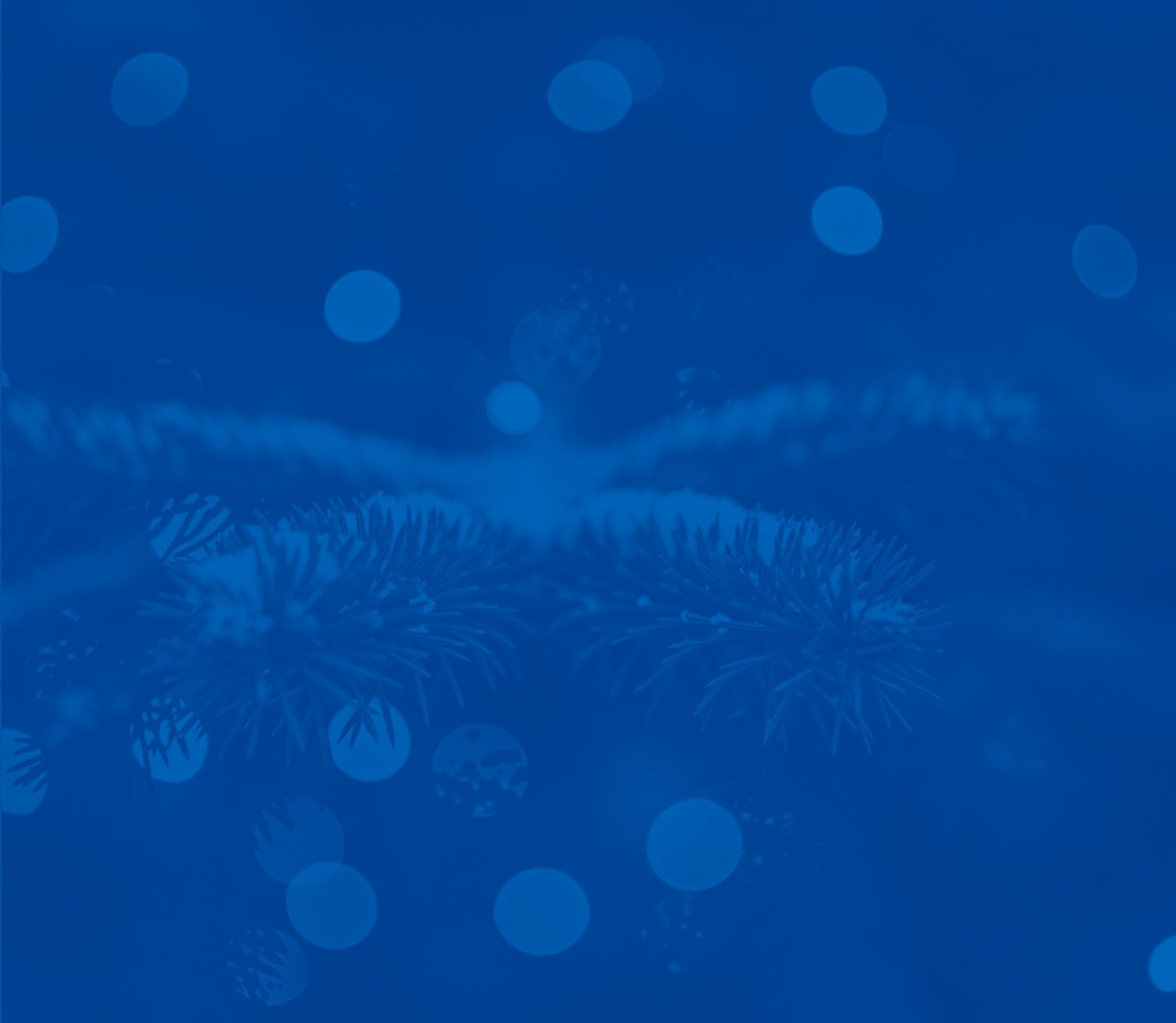 Bild zur Nachricht von Hofbräu am Alten Rathaus