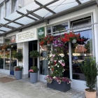 Foto zu Restaurant Tangcubi | Asia Fusion: 