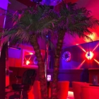 Foto zu Saunaclub PALMA: 