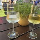 Foto zu Sommergrün - die Gartenweinwirtschaft: Naheweine