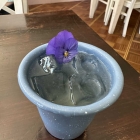 Foto zu Rotkehlchen | Speise- und Cocktailbistro: 23.4.26 Verjus zum Lunch