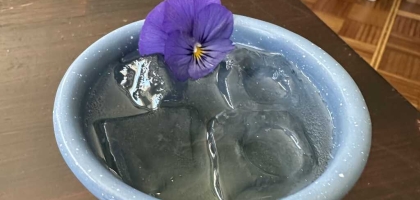 Bild von Rotkehlchen | Speise- und Cocktailbistro