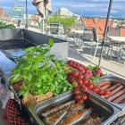 Foto zu Restaurant Fischerheim im Donautal: 