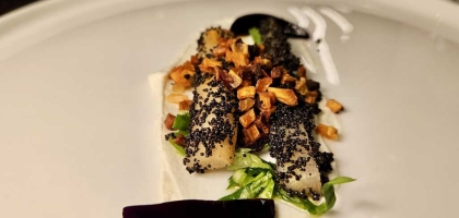 Fotoalbum: User Fotos