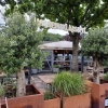 Neu bei GastroGuide: Jan & Hein & Klaas & Pit - Café & Restaurant