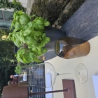 Foto zu Mario Pattis - Feine Kost und Kantine: 