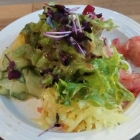 Foto zu Haucks Schnitzelwelt: 