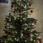 Foto zu Hasenheim Bezgenriet: 