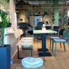 Foto zu Katzentempel - Café: 