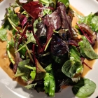 Foto zu Alte Mühle Eschborn  - Wirtshaus am Westerbach: 3erlei Knödel mit Woldkräutersalat