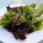 Foto zu Neupotzer Stub: Beilagensalat zum Tagesessen