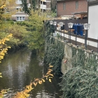 Foto zu Dackels Krohne: 