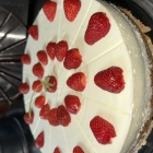 Foto zu Gabis Stübchen: 