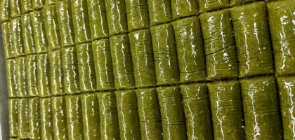 Fotoalbum: User Fotos