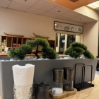 Foto zu Restaurant Tsubaki im Hilton Hotel: 