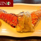 Foto zu La Cucina PAPANINO: 