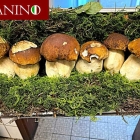 Foto zu La Cucina PAPANINO: 