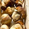 Neu bei GastroGuide: La Cucina PAPANINO