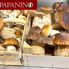 Foto zu La Cucina PAPANINO: 