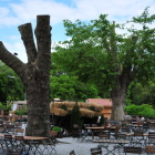Foto zu Müllerstube, Jagdschloss Mönchbruch: Biergarten  18.05.25.