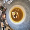 Fischsuppe