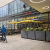 Neu bei GastroGuide: Traublinger