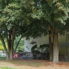 Foto zu Stadtgärtner-Café: 